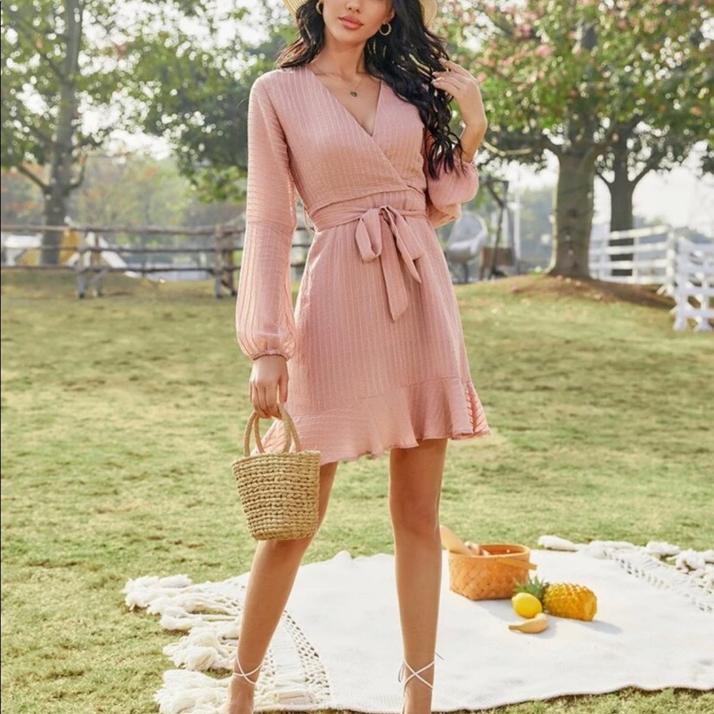 Blush Ruffle Dress - Picture 4 of 6